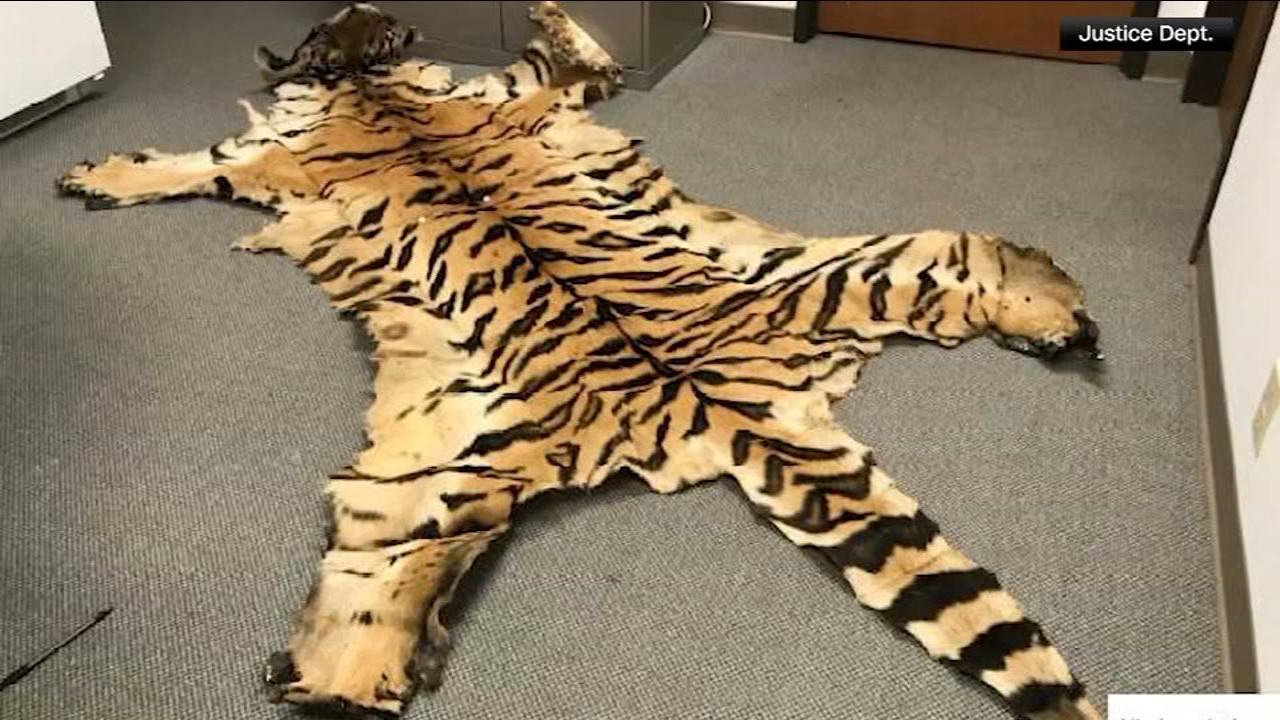 California couple pleads guilty to trafficking wildlife
       — 6ABC Action News (Philadelphia)